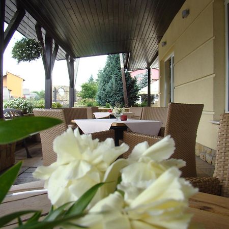 Hotel Azalia & Spa Niepołomice Exteriör bild
